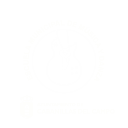 escuela danza cabanillas del campo